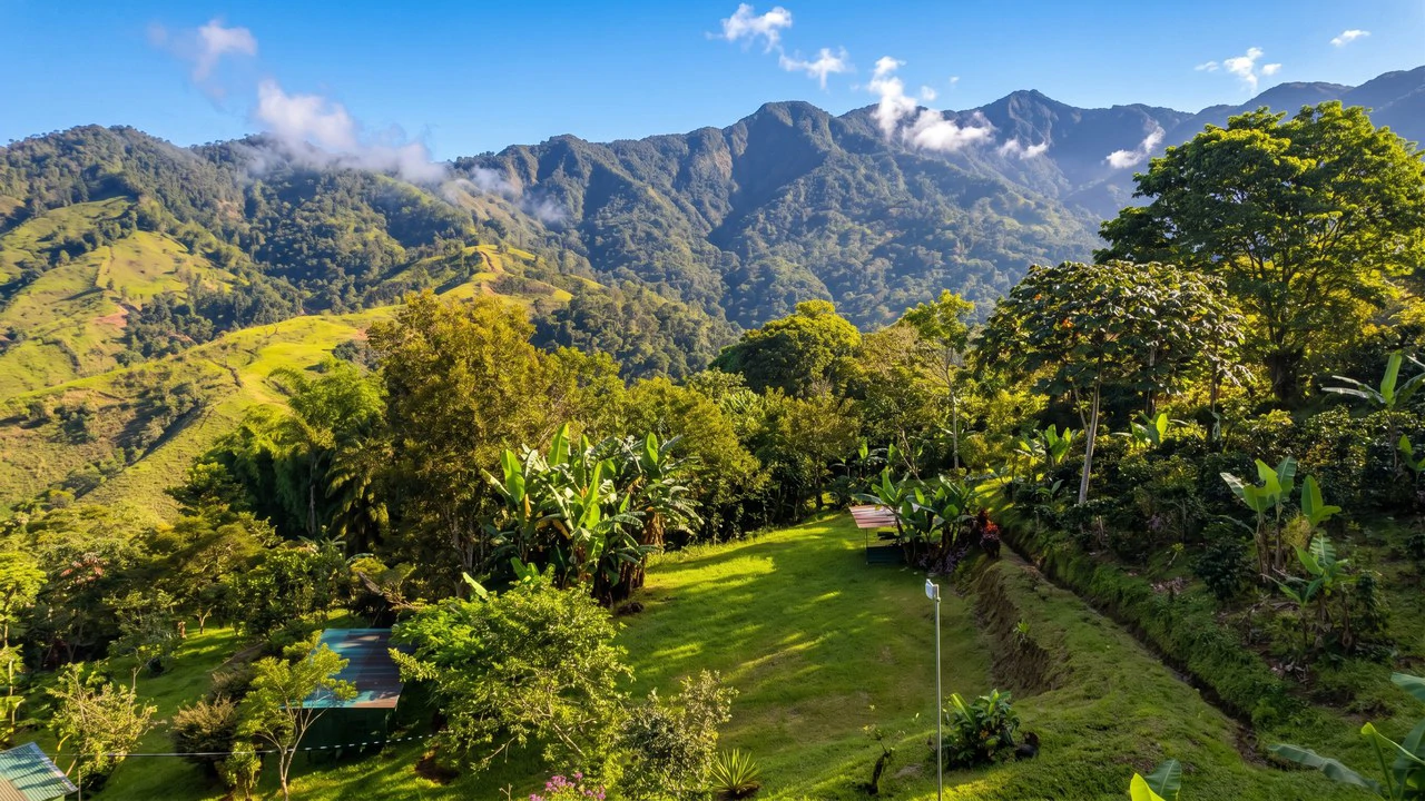 Mountain House For Sale in San Isidro del General - photo 8