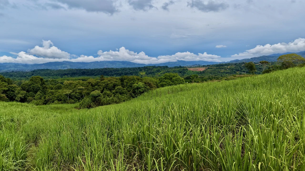 Home Construction Site For Sale in General Viejo - Gallery image 13