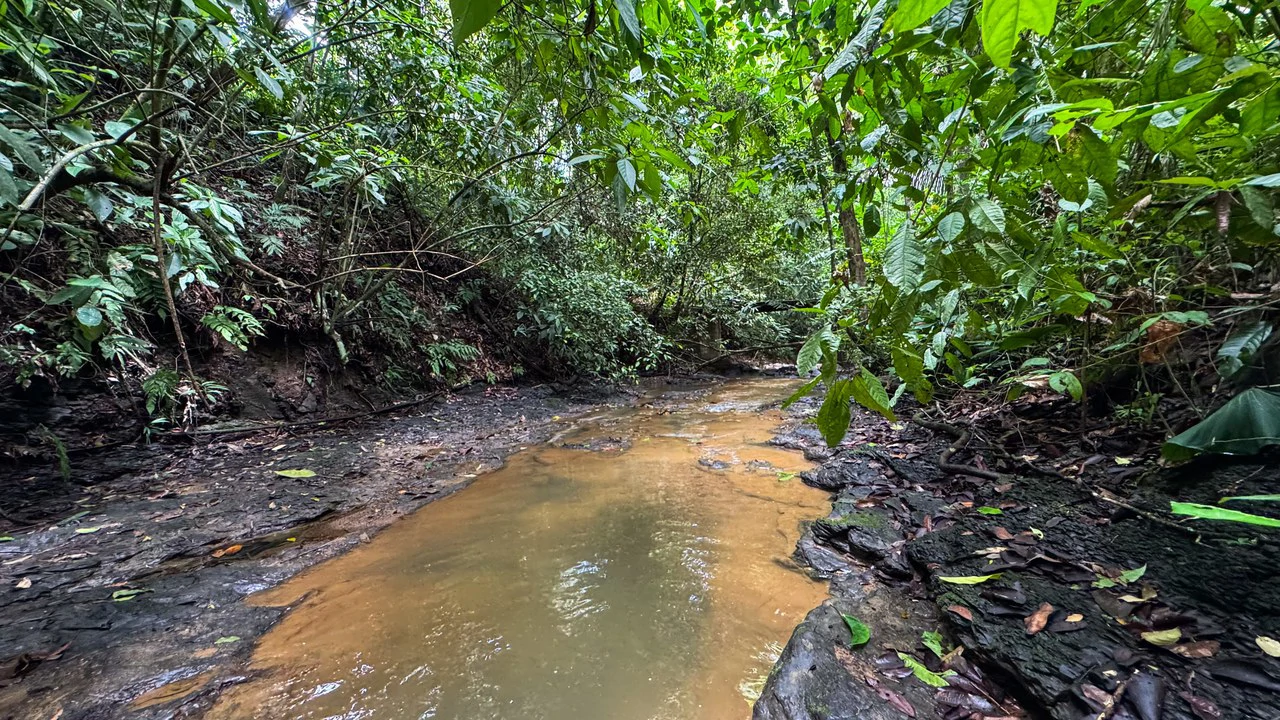 Beautiful Lot Ready to Built in Playa Hermosa, Osa with a Creek - Gallery image 11