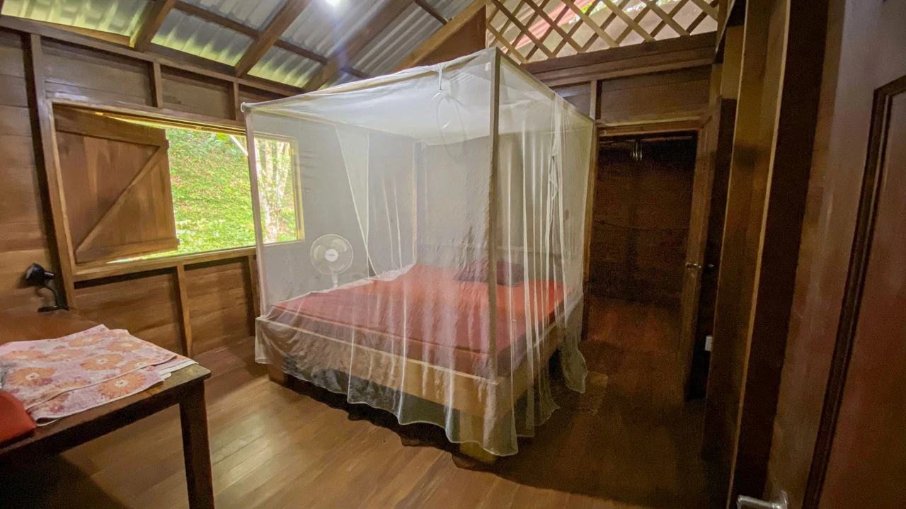 4 Bd/3 Ba - Two Caribbean Homes w/ Pool, on 5000m²: Dual Home Jungle Property in Punta Uva - Gallery image 12