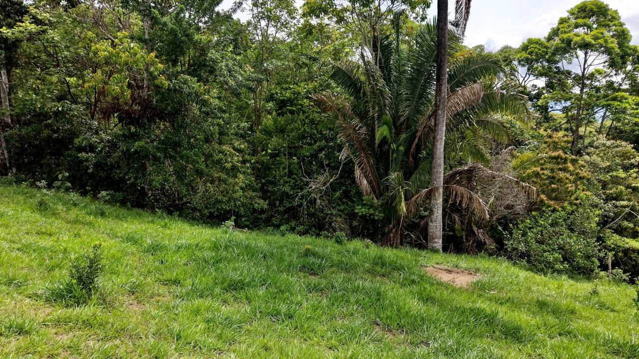 Countryside Home Construction Site For Sale in Centro de Pérez Zeledón - Gallery image 16