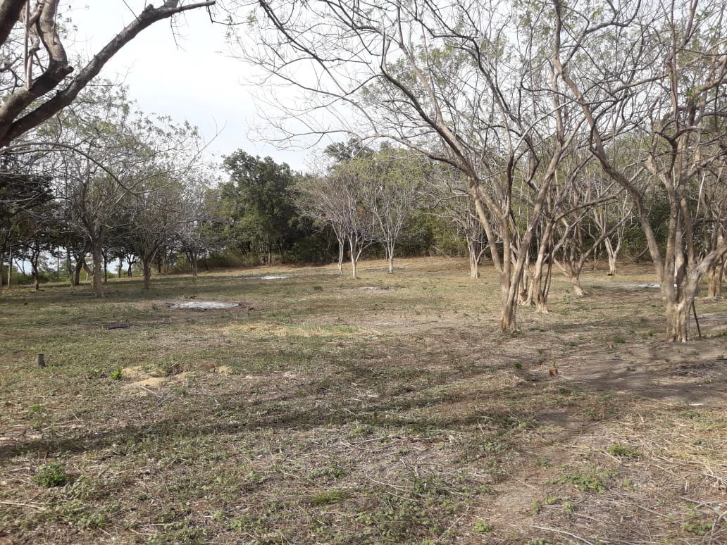 Colorado River Paradise Farm for Sale - Just 10 Minutes from Liberia - Gallery image 9