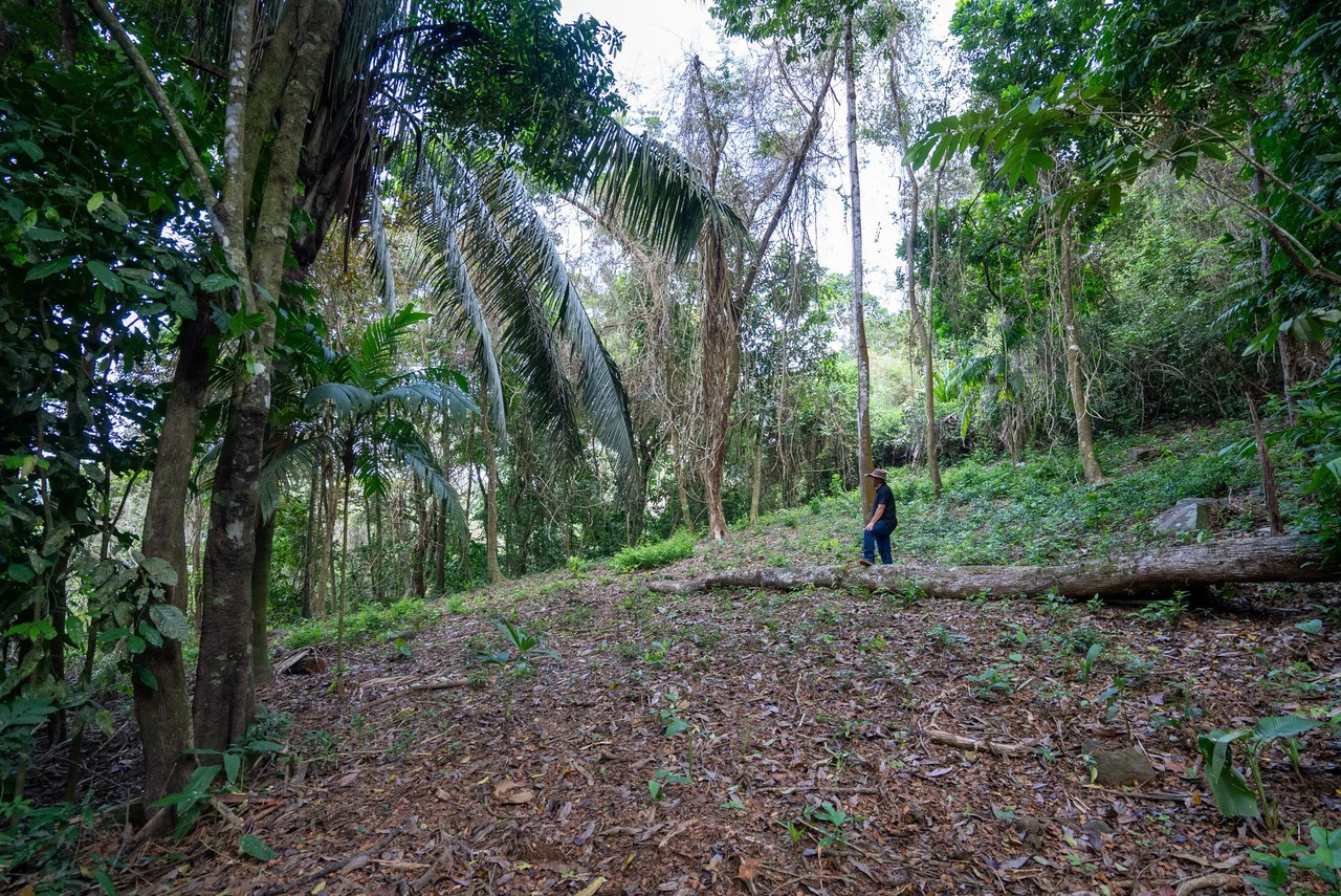 Rare 86-Acre Ocean View Estate Bordering Hacienda Barú – A Unique Opportunity for Conservation and Development - Gallery image 22