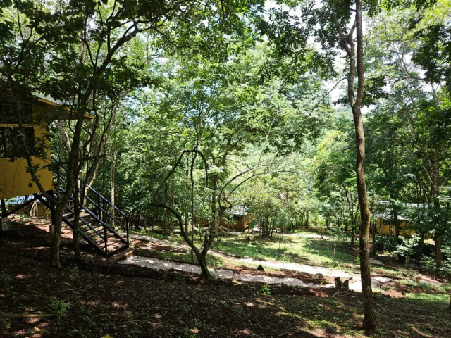 Nosara's Brand New Top Villas as a Business Opportunity in the dense forest of catchment area, 7 villas for sale in Costa Rica's Healthy Blue Zone - Gallery image 20