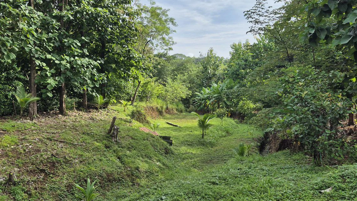 LOTE SERENIDAD: Beautiful 3,554 m² (0.89 Acre) Lot in Peaceful Estrada, Just 10 Minutes from Carillo Beach - Gallery image 9