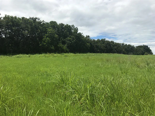 Large Development Land for Sale in Liberia, Guanacaste, Costa Rica - Gallery image 58