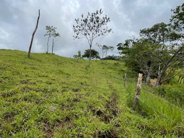 10 acre Dream Mountain Farmland near Monteverde - Gallery image 5