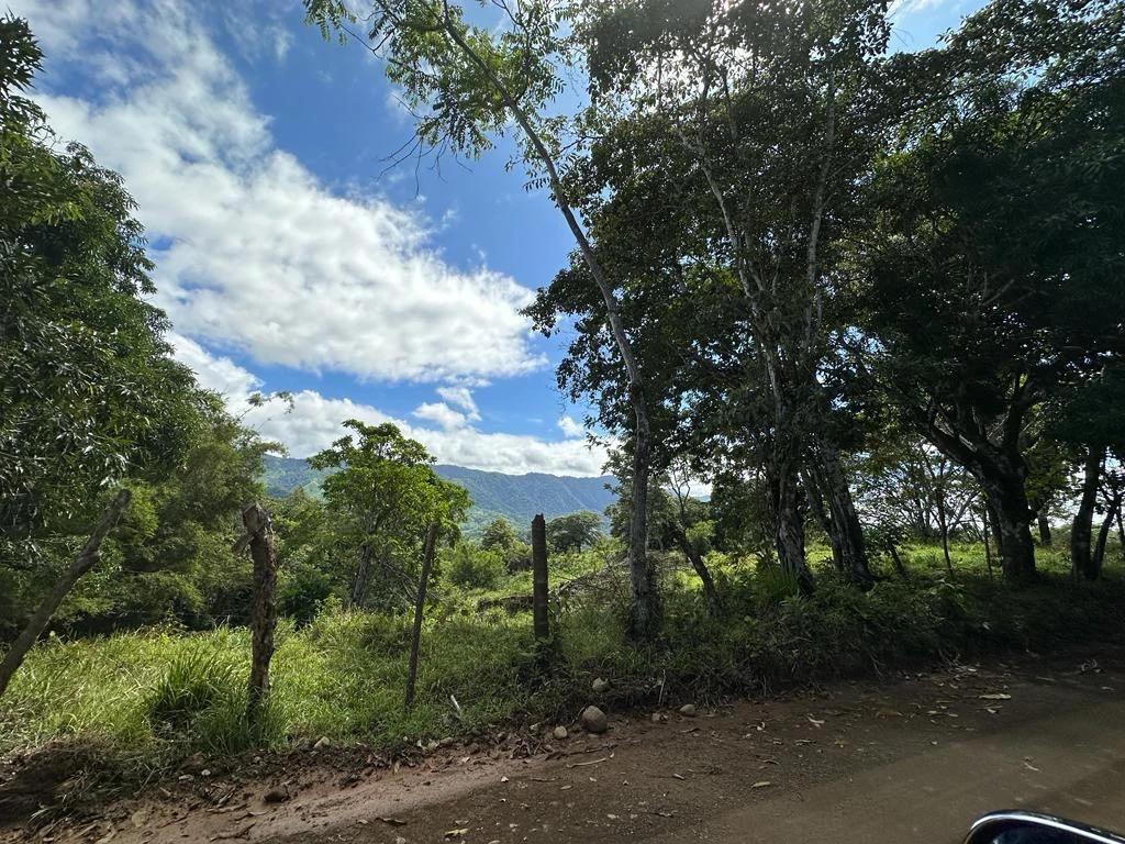 Exceptional Development Opportunity in Puerto Cortes, Osa - Gallery image 4