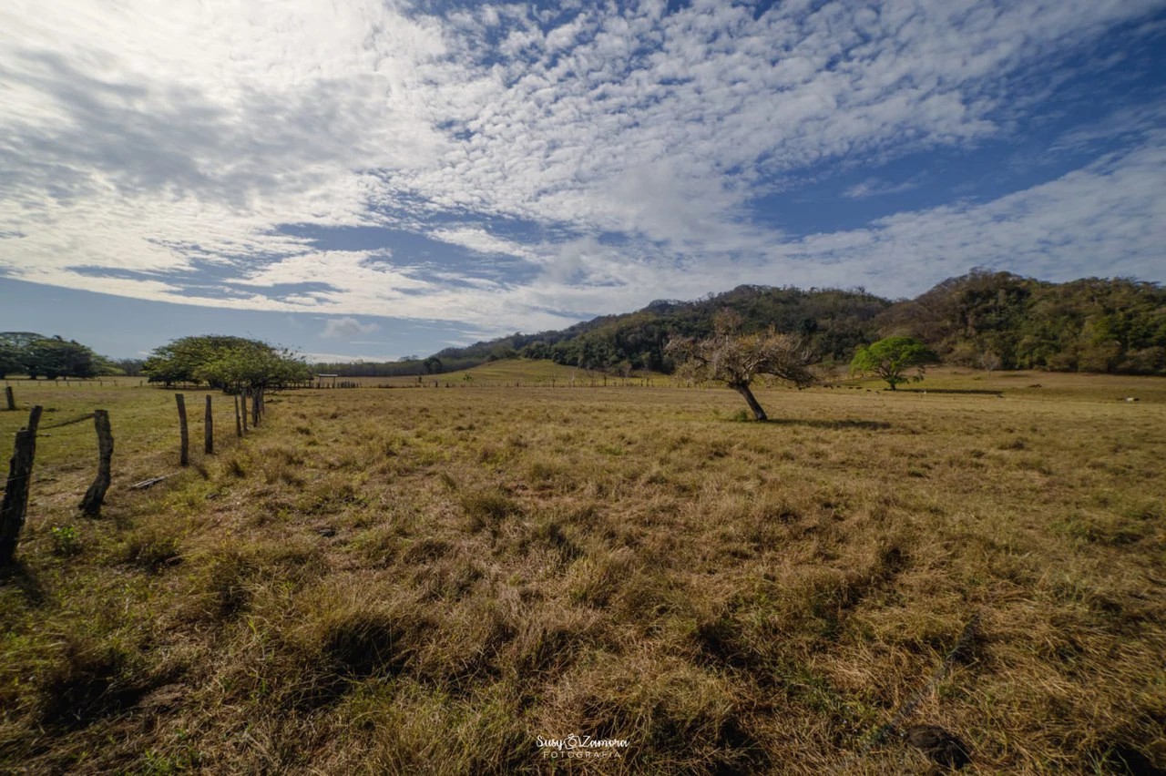 Land for Sale Lepanto Puntarenas overlooking the Gulf Costa Rica - Gallery image 8
