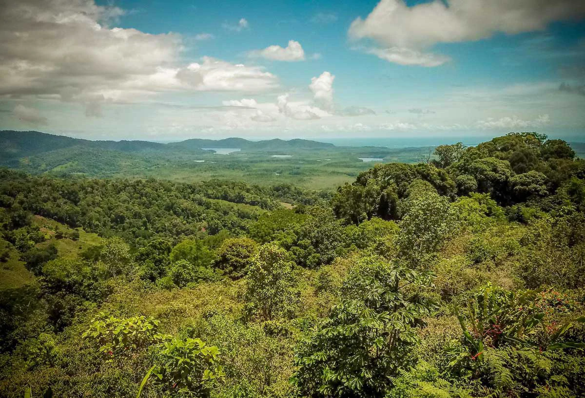 Sierpe Viewpoint on Main Route | San Juan de Sierpe, Puerto Jimenez - Gallery image 8