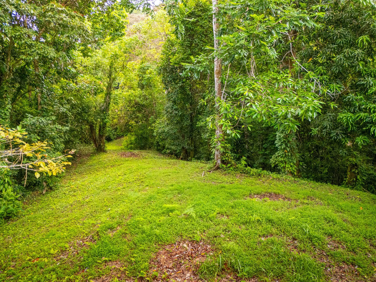 Tropical Paradise in Cascada Sándalo, Tres Ríos Ocean & Mountain Views | Gated Community | Abundant Nature - Gallery image 14