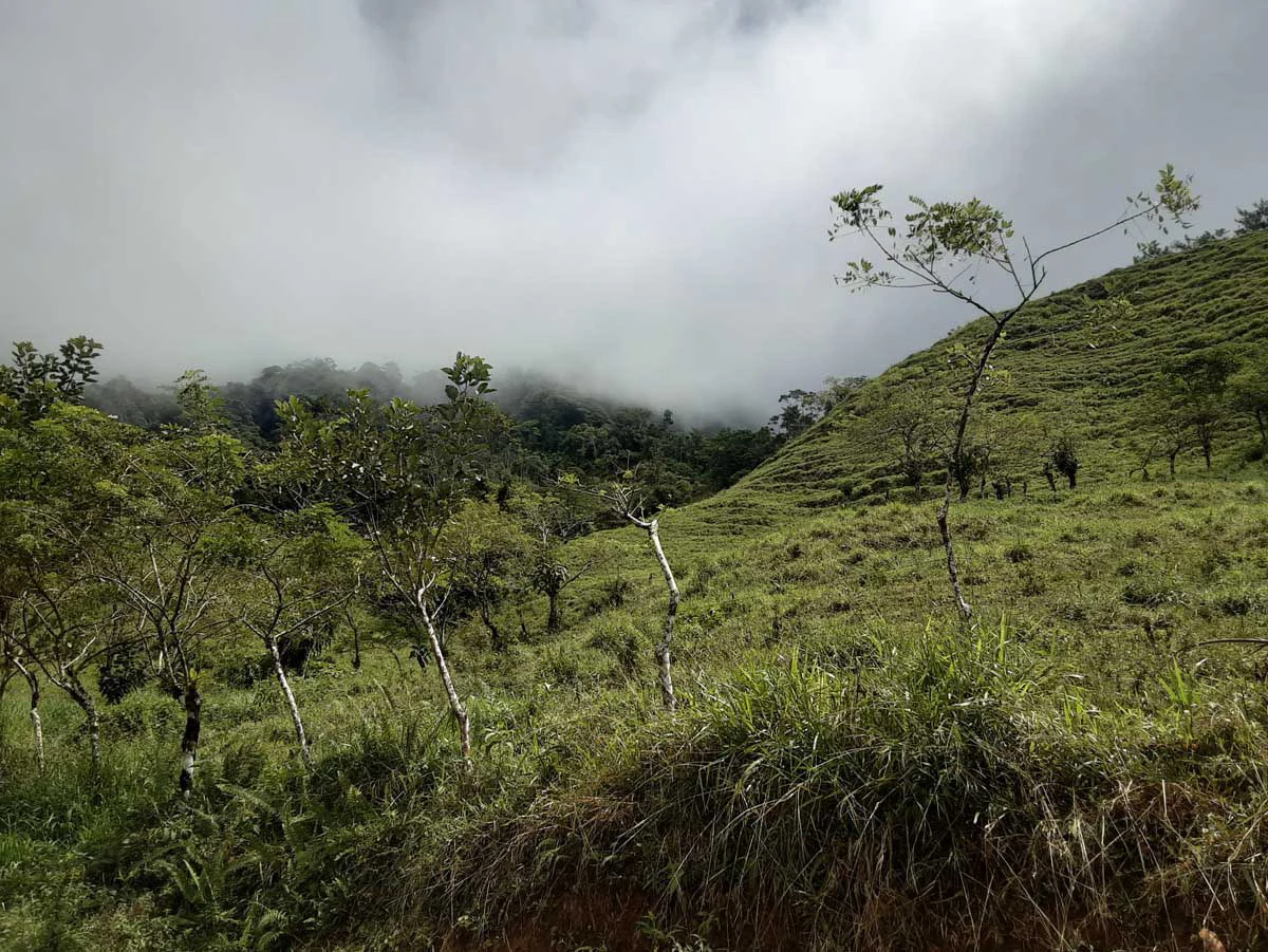 Finca Tesoro Escondido - The Jewel of Uvita - Gallery image 46