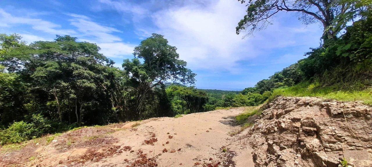 Buena Vista Ocean View Lot: Countryside and Mountain Home Construction Site For Sale in Buena Vista - Gallery image 3