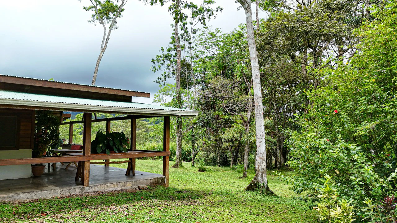 Finca Macadamia: 154-acre Rainforest Paradise with two Houses and Trails! - Gallery image 16