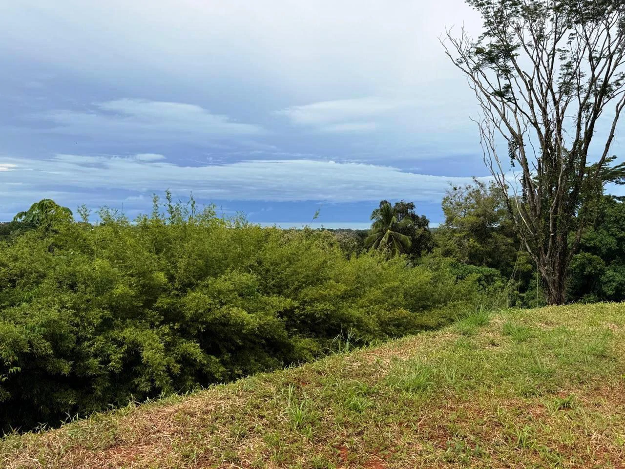Prime Ocean View Development Property in Downtown Uvita - Gallery image 5