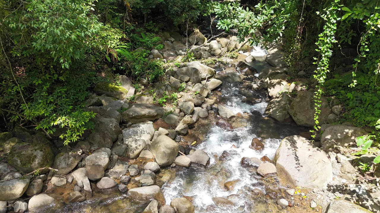 Jungle River Resort: Boutique Jungle River Resort with Pool, Restaurant & Cabinas in Ojochal - Gallery image 2