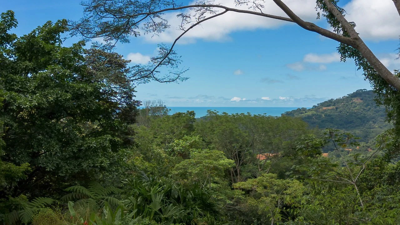 Build-Ready Ocean View Land with Guest House & Fruit Orchard | Tres Rios, Costa Rica - Gallery image 14