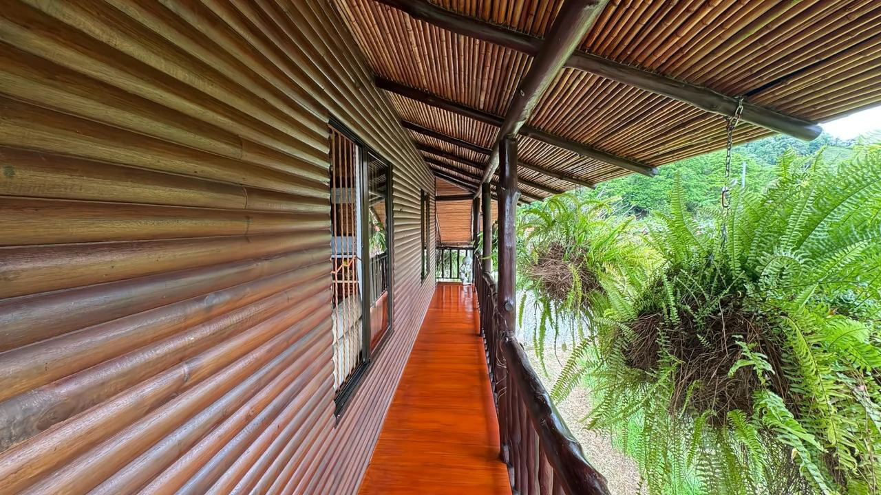 Charming Hardwood Cabin with Fruit Garden Near San Isidro - Gallery image 14