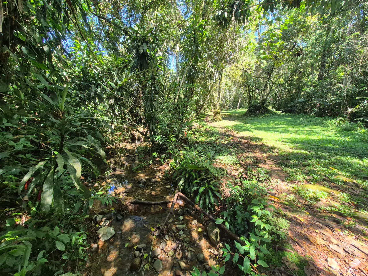 Mountain Home Construction Site For Sale in Centro de Pérez Zeledón - Gallery image 13