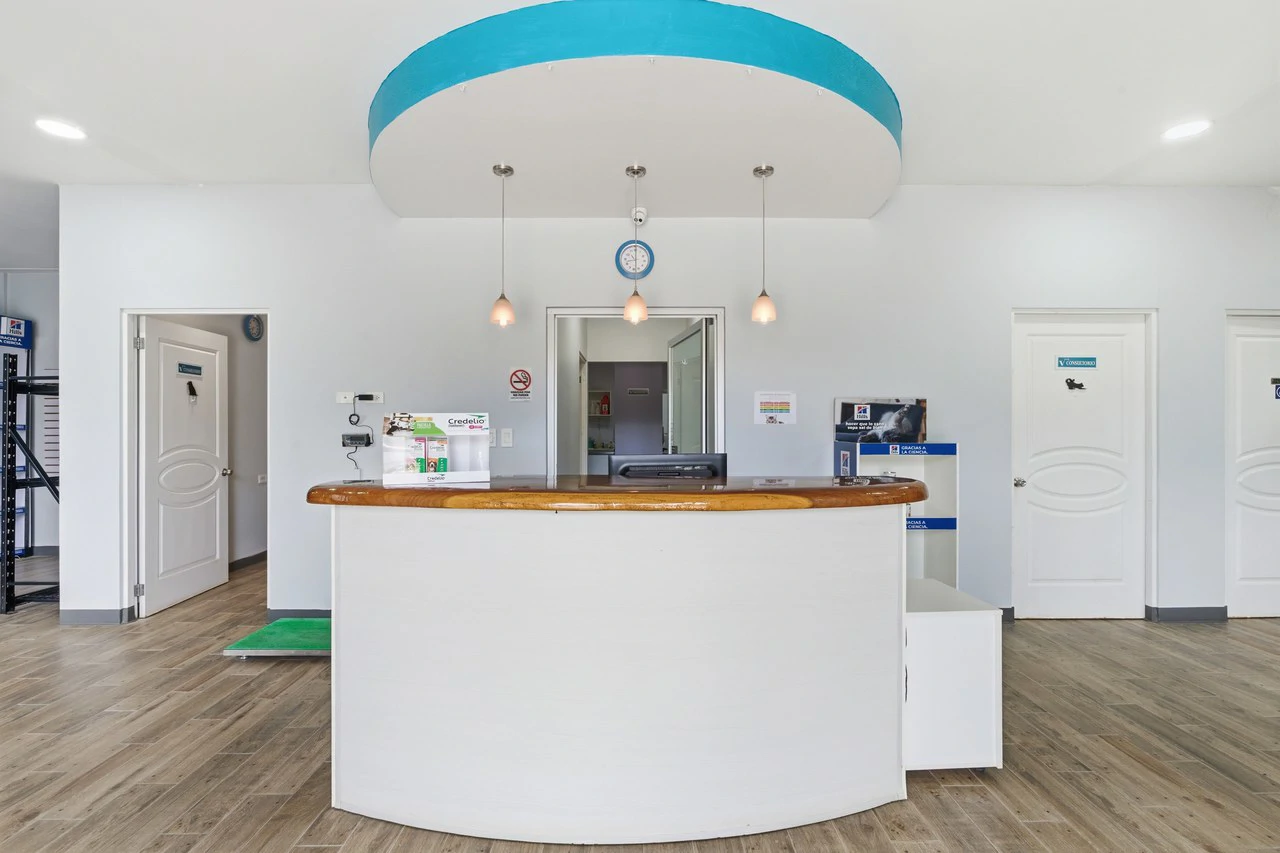 Vet Clinic: Prime Commercial Property & Veterinary Clinic For Sale - Gallery image 2
