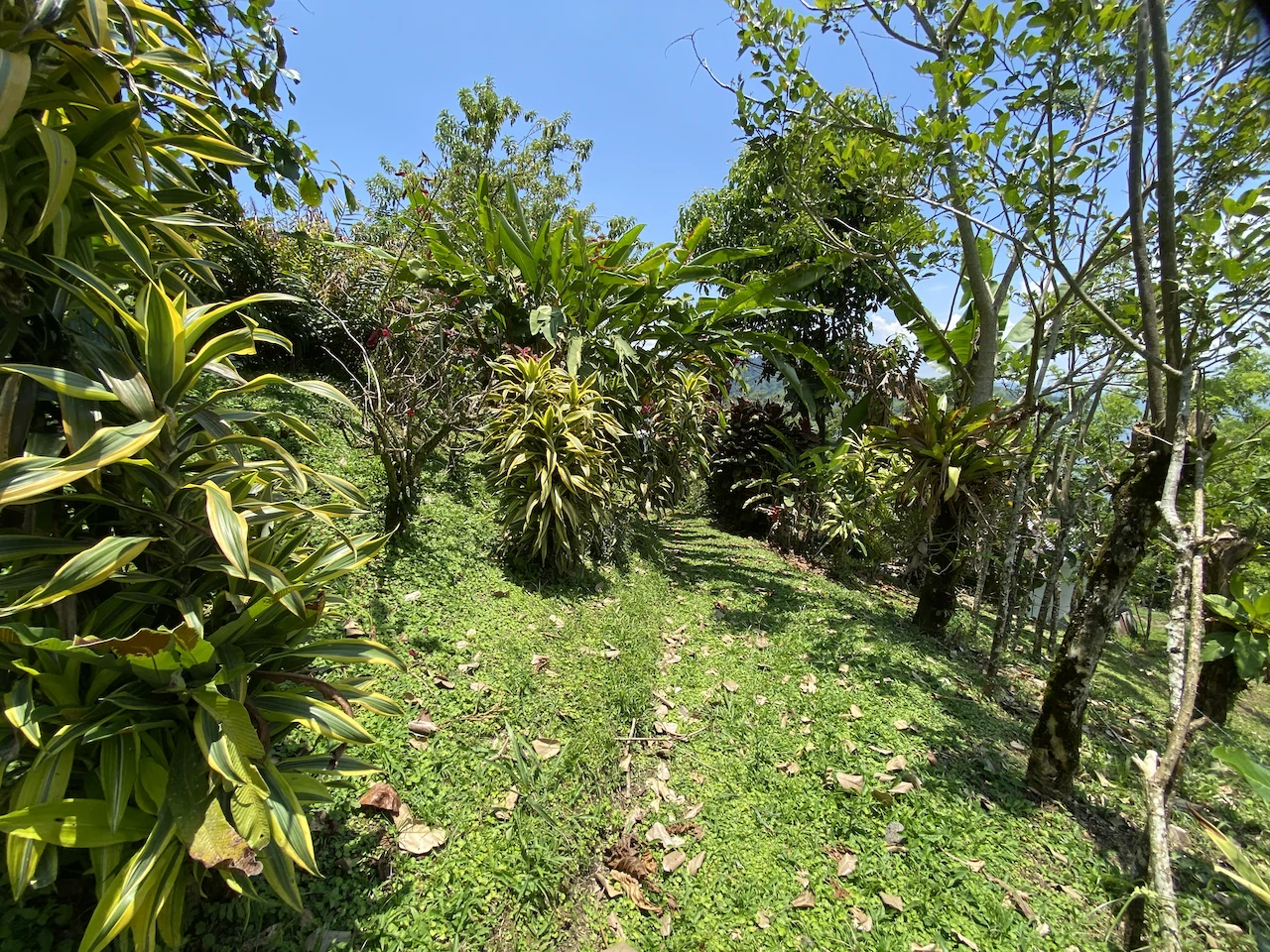 Beautiful Property with 4 cabins in El Castillo with gorgeous Lake View..!! - photo 24