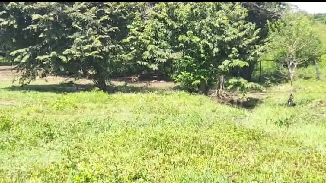 Prime Land in La Fortuna, Bagaces - Build Your Dream Home! - Gallery image 4