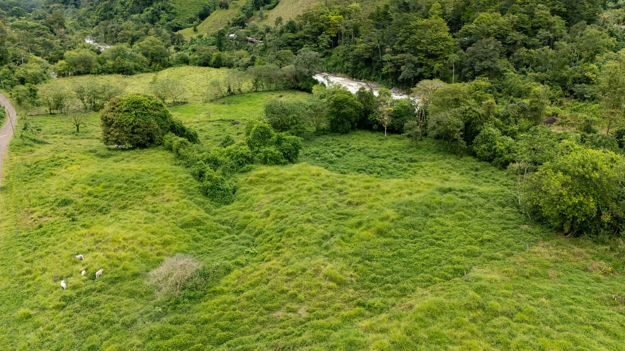 Mountain Home Construction Site For Sale in Río Nuevo - Gallery image 14