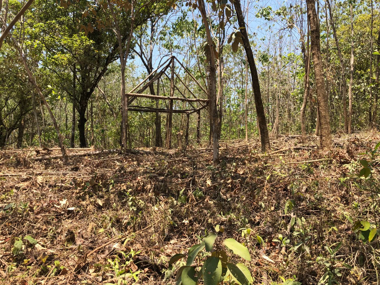 Prime Real Estate Opportunity, Lot with Creek Border in Santo Domingo hills - Gallery image 2