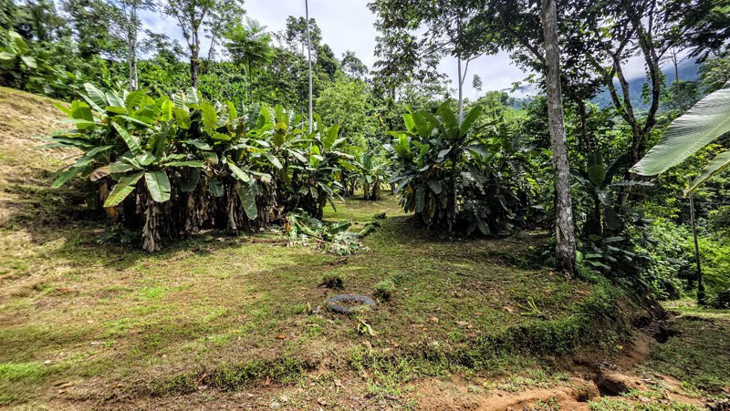 Waterfall Estate, Dos Bocas, Dominical Featuring Twin Waterfalls, Springs, Creeks & Rivers - Gallery image 37