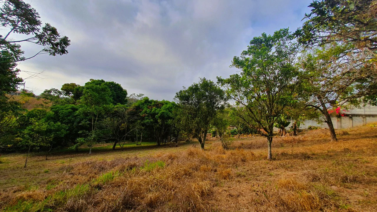 FRUIT TREE PROPERTY FOR SALE: Home Construction Site For Sale in San Isidro del General - Gallery image 21