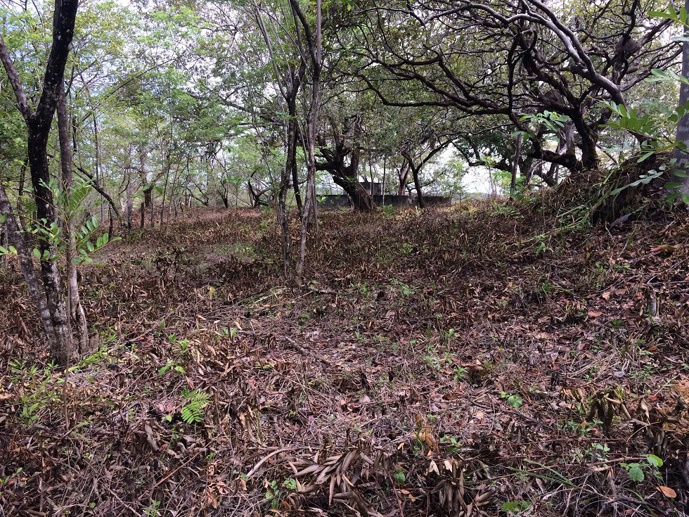 Finca grande: Economic Building property for sale in El Salto, with private access to the surrounding beautiful nature with own river - Gallery image 5