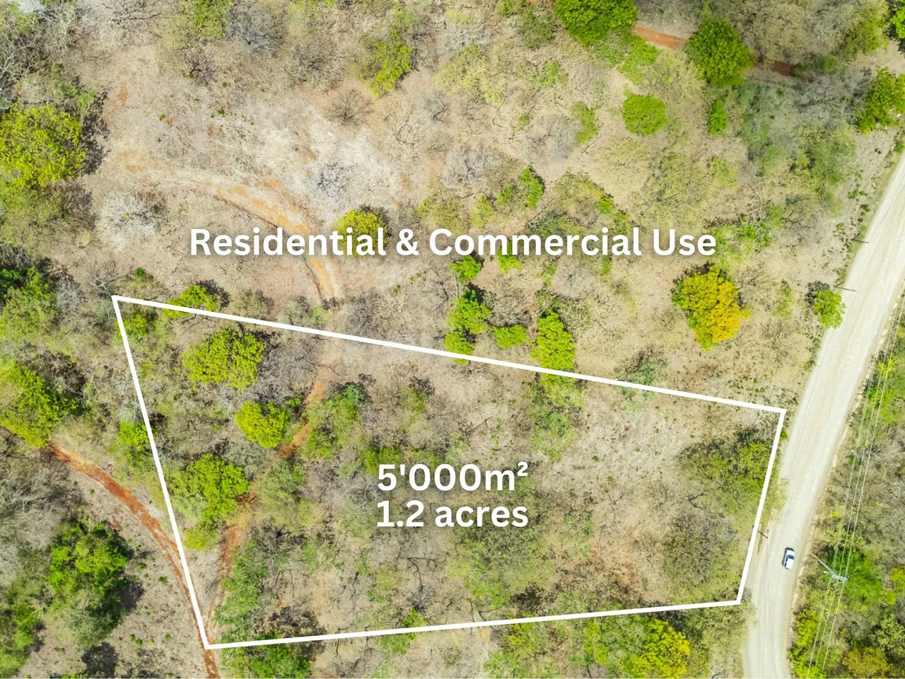 Pura Jungla Lots: Expansive Lots with Water Availability in Los Pargos - Gallery image 2