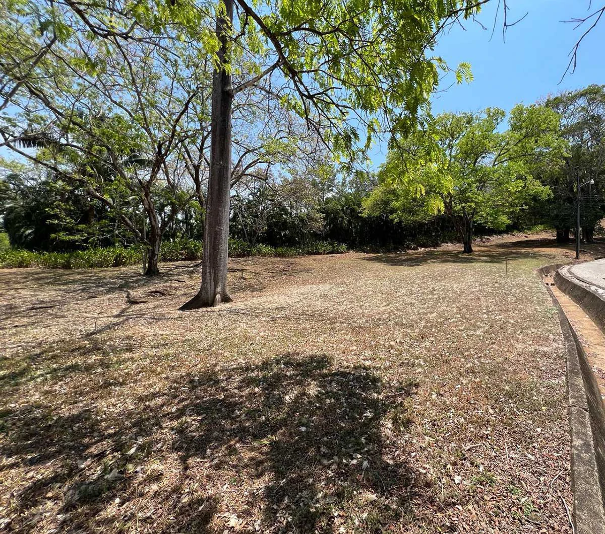 ID 4024: Ready to build in a Luxury Gated Community in PLAYA SAMARA - Gallery image 11