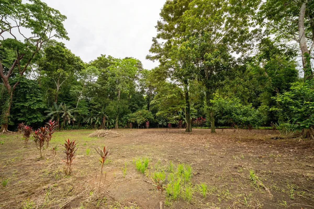 ID 1150: 3000 sqm Titled Land Near Cahuita National Park, Costa Rica - photo 5
