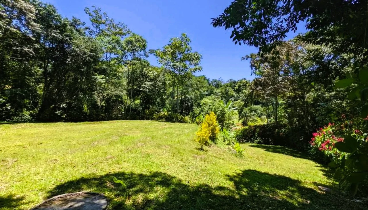 ID 4203: Land in Gated Community, Owner Financing available - Gallery image 6