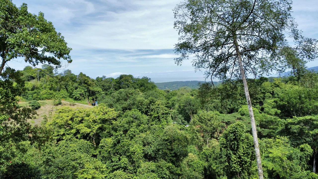 Marvelous Ocean View Parcel in Uvita. - Gallery image 5
