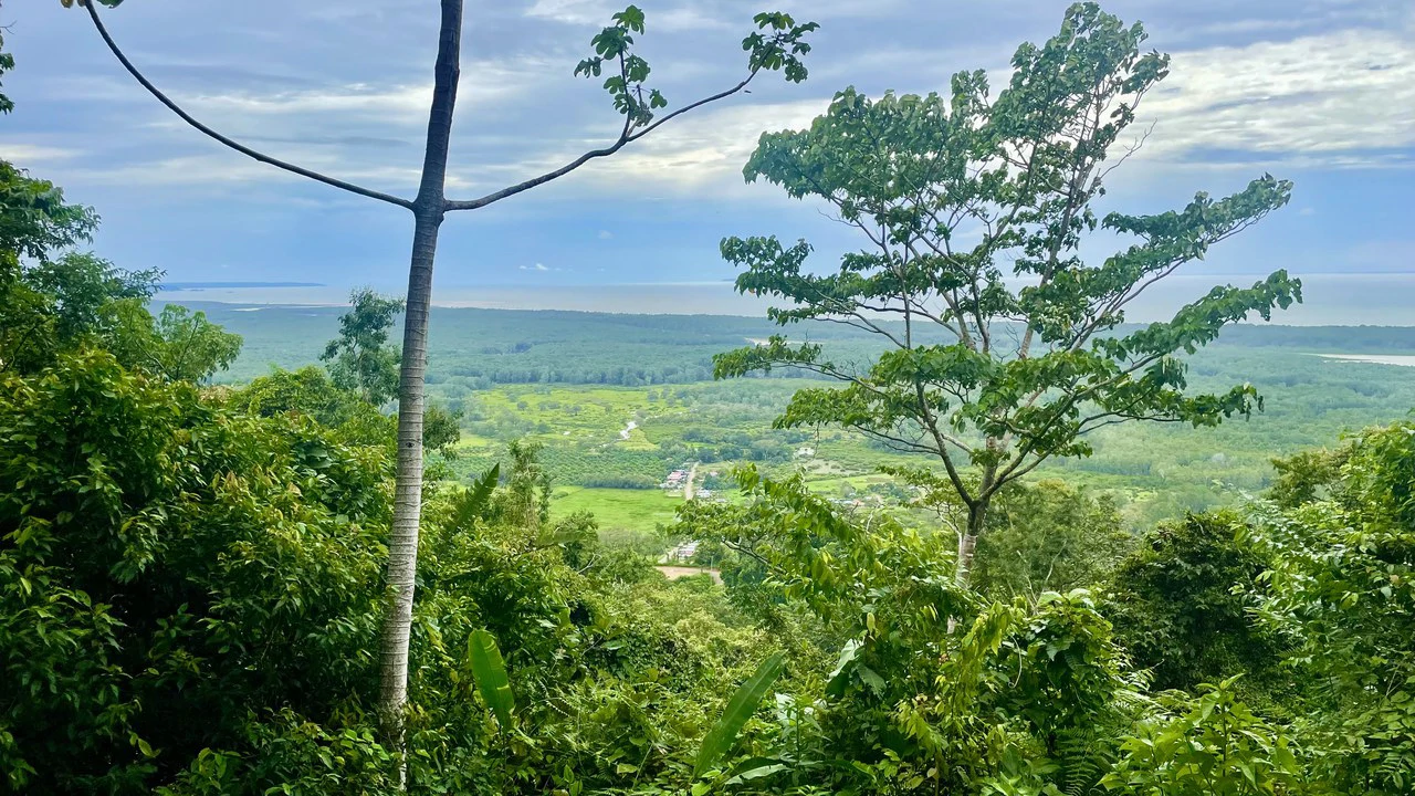 TROPICAL MASTERPIECE – 61.78 ACRES OF OCEANVIEW BLISS WITH WATERFALL: Mountain Development Parcel For Sale in Tres Rios - Gallery image 3