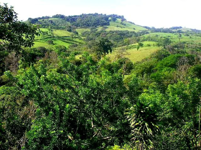 Quinta Aurora: Mountain and Lake View lot, ready for construction - Gallery image 2