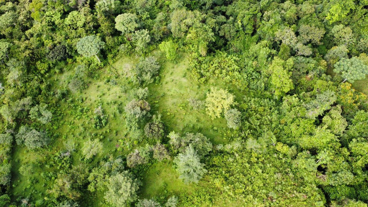 Propiedad en San Blas: Mountain Agricultural Land For Sale in La Linda General Viejo - Gallery image 18