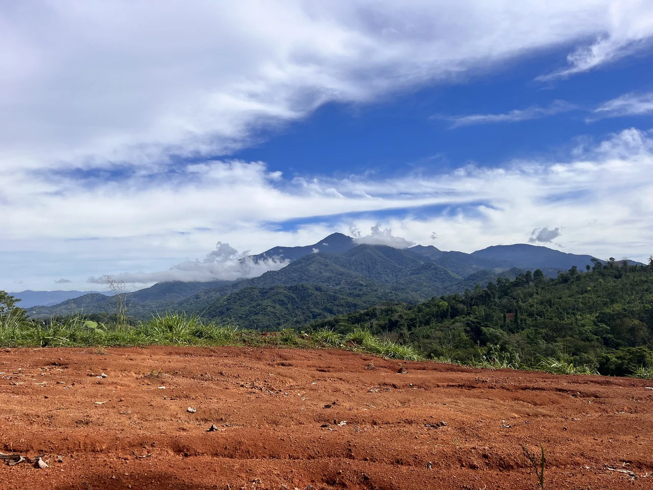 SPECTACULAR ECOLOGICAL MOUNTAIN FARM IN BIJAGUAL DE TURRUBARES - Gallery image 32