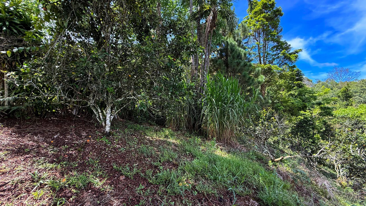 Home Construction Site For Sale in San Rafael Norte - Gallery image 12