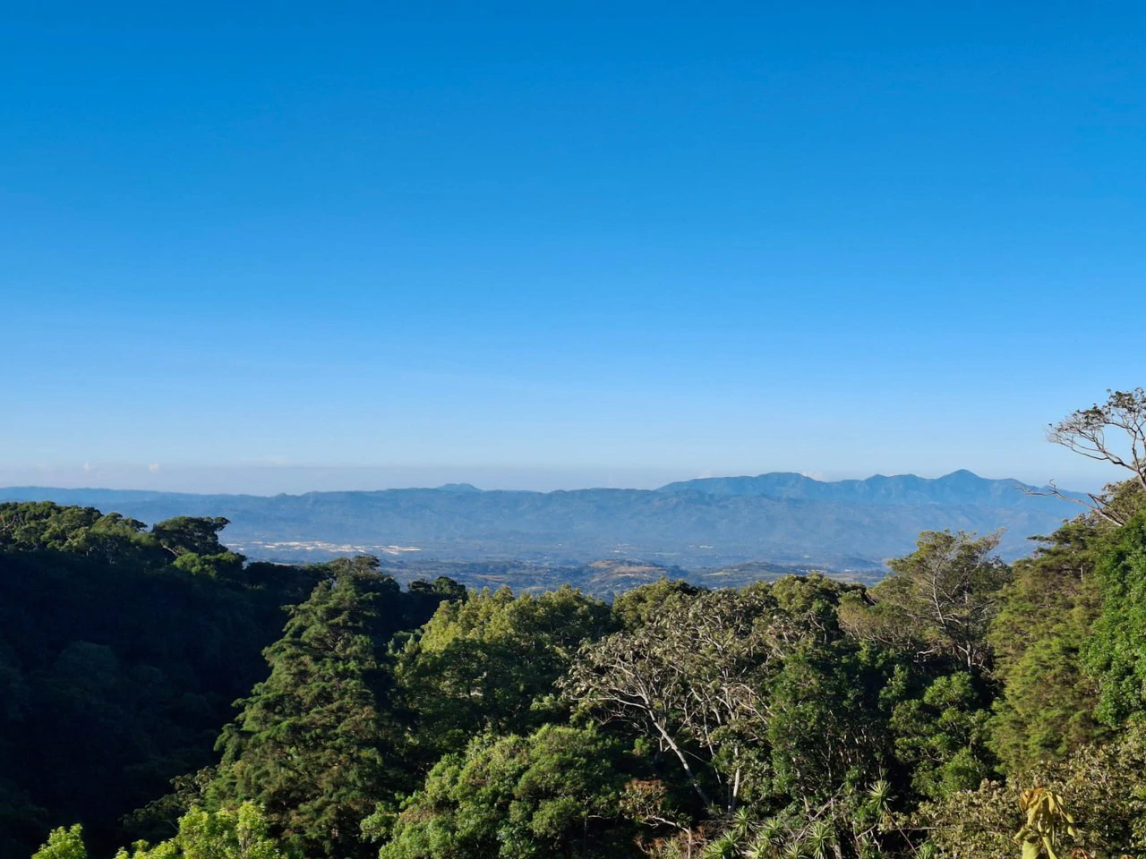 Cafetalero or Developer?: 25,378 m2 with Views of the Central Valley!! - Gallery image 9