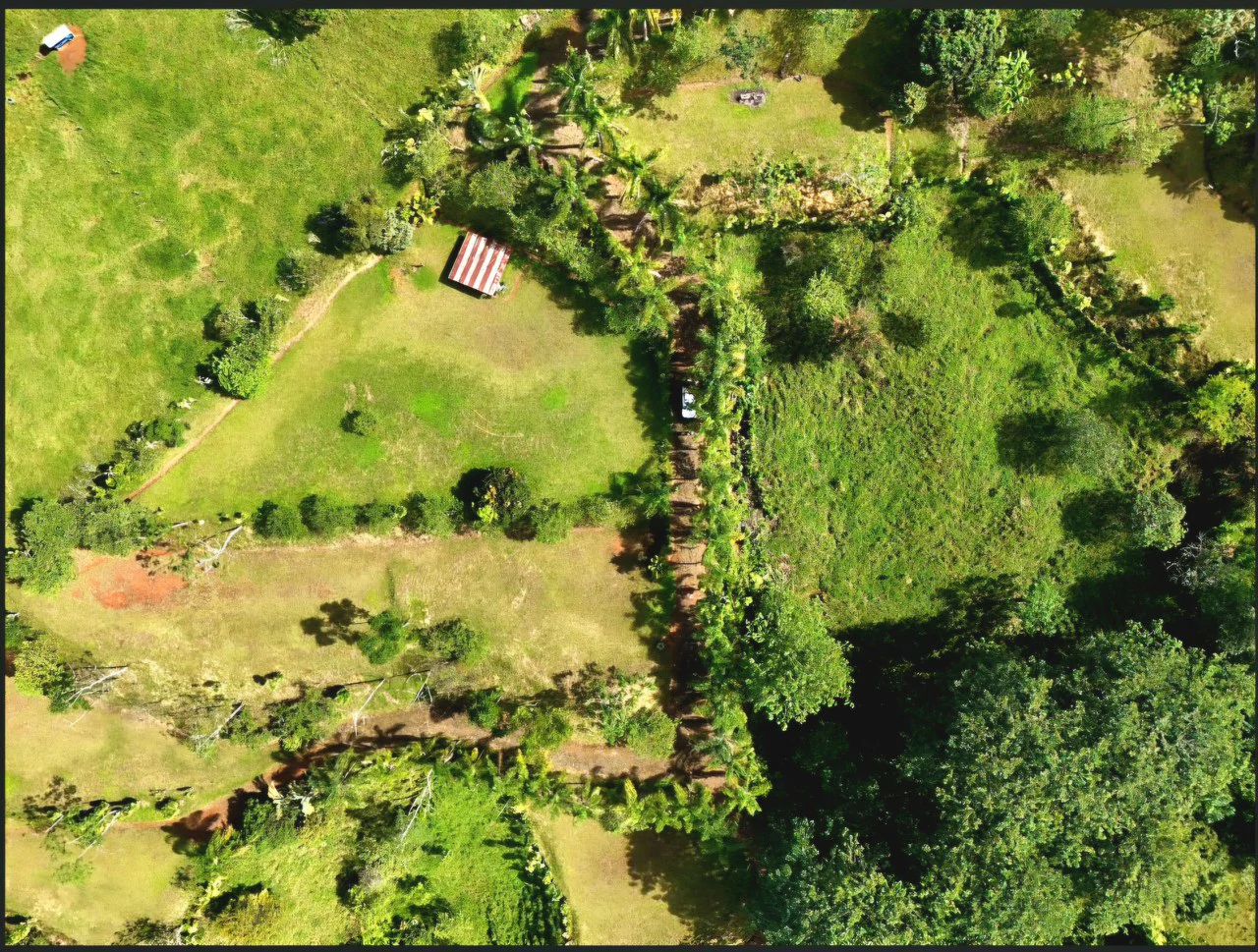 Mountain Home Construction Site For Sale in Miravalles - photo 7