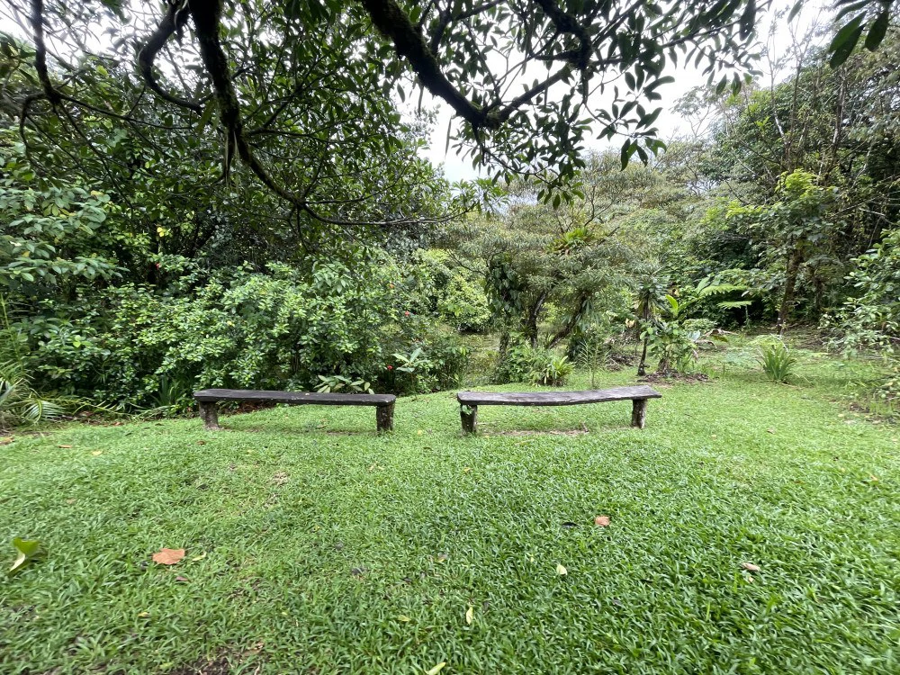 Nuevo arenal: Looking for a Property to Develop Family Residences with Lake Views? - Gallery image 6