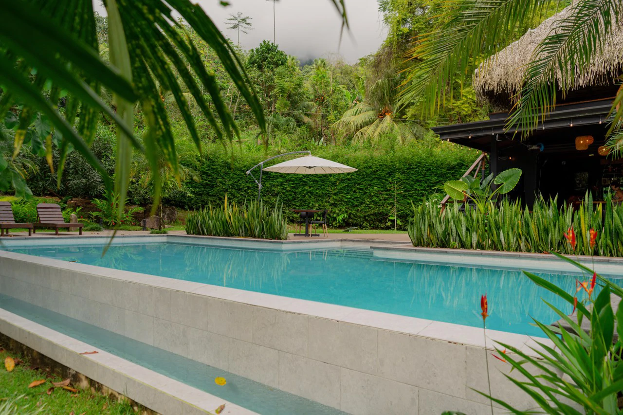 Jungle River Resort: Boutique Jungle River Resort with Pool, Restaurant & Cabinas in Ojochal - Gallery image 5