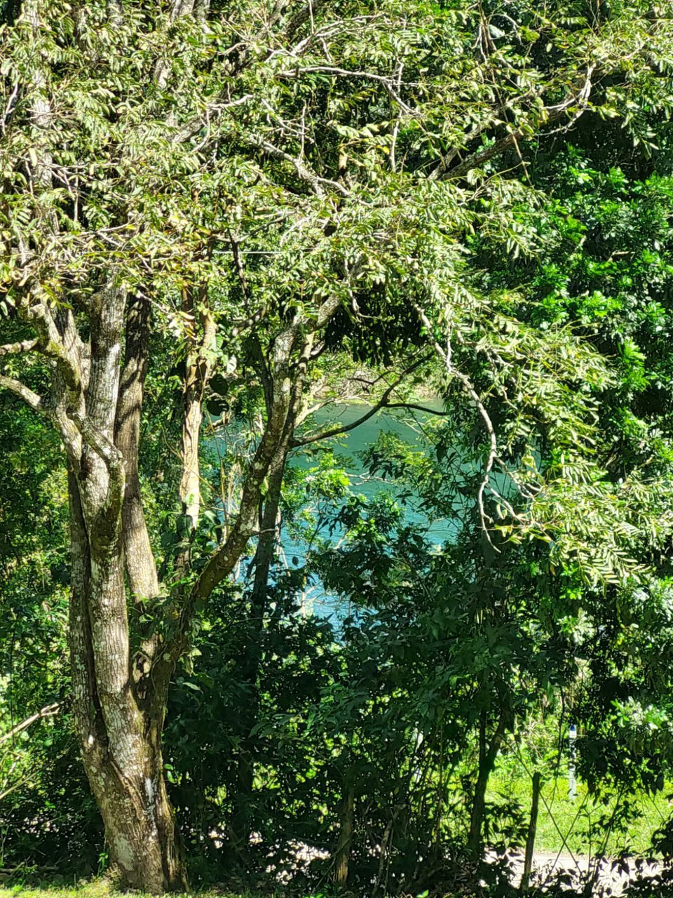 LAGO AZUL: Lake View lot of just under 1 acre - Gallery image 7