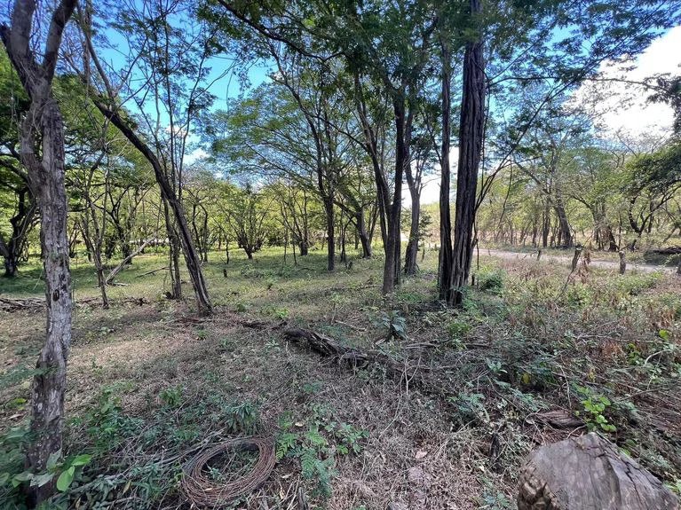 5.67 Hectares in Puerto Viejo: Prime Development Parcel Just 2 Mins from the Beach - Gallery image 13