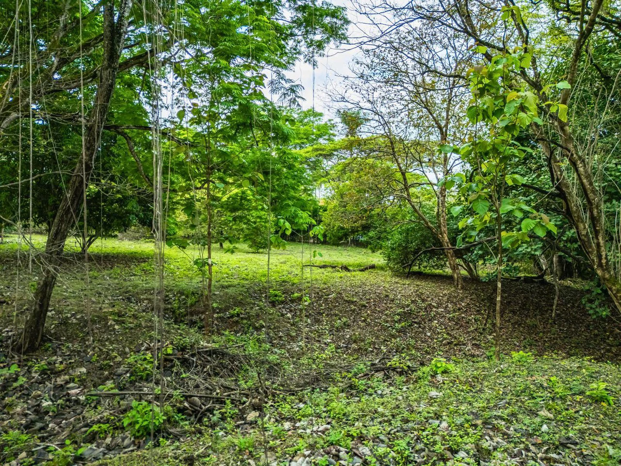 Marbella Dream Lot: 2.4 Acres of Natural Beauty Near the Beach - Gallery image 2