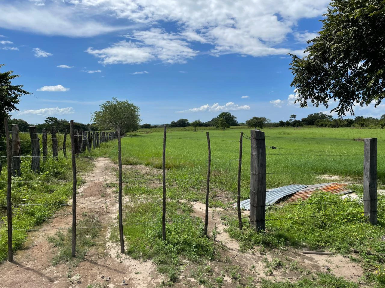 Airport Liberia Top commercial location huge property for sale - Gallery image 14