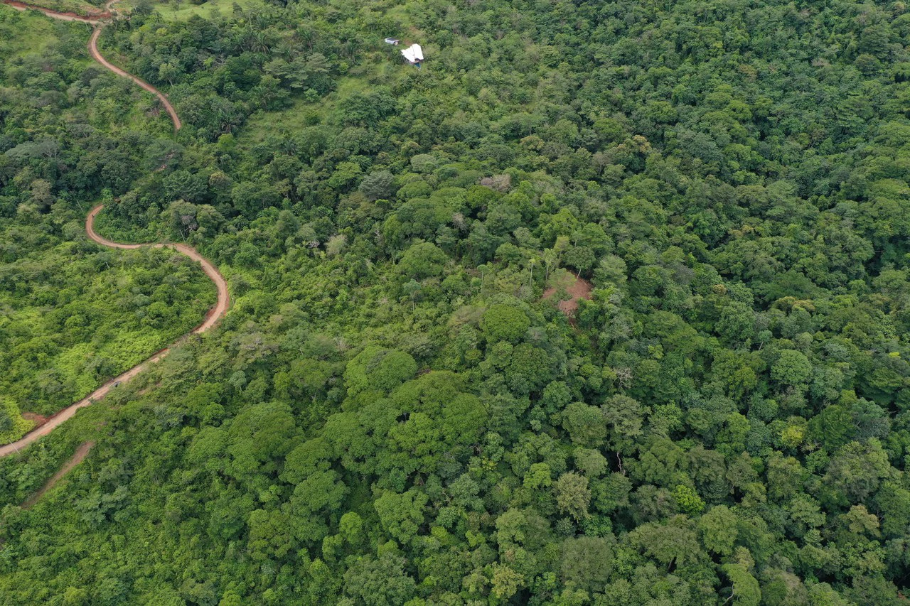 23.5 Acre Waterfall & Riverfront Estate Bahia Ballena Osa Peninsula - Gallery image 10
